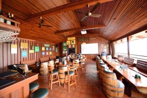 Murphys Brewhouse in bangalore 5